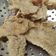 Cooksnap Zuraidah Abu Bakar semasa beliau membuat Cendawan goreng tepung.