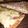 El cooksnap de CandeV cuando hizo Salsa para pizza con sabor a Buenos Aires.