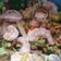 La cooksnap de Cinthya Villavisencio cuando cocinó Camarones y pulpo estilo cantones