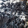 Cooksnap από Rene στη συνταγή Εύκολο γλυκό με Oreo