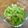 Cooksnap của SeleneJang 🌙 khi họ làm theo món Bí xanh xào tôm bằm