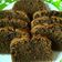Cooksnap dari Fitriani Sri Rejeki untuk resep Cake Kopi ~ Semriwing Kopi nya ☕