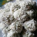 Cooksnap dari Molly Maulidar untuk resep Klepon ubi rambat