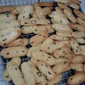 Cooksnap dari Novita Kusuma untuk resep Lidah Kucing Keju super ngejuu! aka Katetong keju 