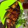 Cooksnap dari Elda Sulistyaningrum untuk resep Gurame Bakar Bumbu Kecap Simple