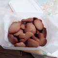 鄭佳欣 的 【影片】簡單巧克力餅乾 cooksnap