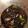 Cooksnap dari anggi untuk resep Cumi Hitam