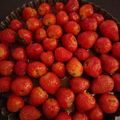 صورة من سوزان شوقي 💖💟، شاركها بعد تجربة وصفة فريزيي بالفراولة 🍓🍓 متل المحلات 😋