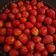 صورة من سوزان شوقي 💖💟، شاركها بعد تجربة وصفة فريزيي بالفراولة 🍓🍓 متل المحلات 😋