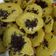Cooksnap dari Dhian Ocha untuk resep Kue cubit si buah hati😋