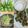 Cooksnap dari Ratna Yasmin untuk resep Ayam Goreng Pandan