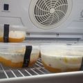 Cooksnap dari Eni Wulandari untuk resep Sago/Buko Manggo super creamy