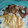 El cooksnap de yara0208 cuando hizo Costillas fritas.