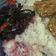 Cooksnap dari Cicilia Ari Susanti untuk resep Tumis Bayam Merah