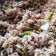 Cooksnap Julia ALeen Aireish semasa beliau membuat Nasi Goreng Udang Kering.