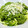El cooksnap de LaMachin cuando hizo Espaguetis de calabacín con pesto de brócoli.