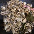 Cooksnap dari Joanne Sebastian untuk resep 104. Rica Tongkol Suwir