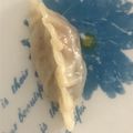 El cooksnap de Lilian Mendez cuando hizo Gyozas estilo japonesas.
