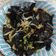 Jane Lin 的 Dylanama ♥ 涼拌黑木耳 cooksnap