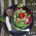 Dr. Pushpa Dixit's cooksnap of when they made વેજ સલાડ (Veg Salad Recipe In Gujarati).