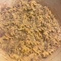 Elyse Rose's cooksnap of when they made Ground Beef Stroganoff.