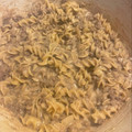 Elyse Rose's cooksnap of when they made Ground Beef Stroganoff.