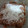 El cooksnap de Anita Orellana Marmol cuando hizo Pan dulce navideño de chocolate.