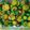 Thu Su N. Nora45151 的 涼拌小黃瓜🥒 cooksnap