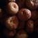 Cooksnap dari Suster Ndut Ndut untuk resep Donat mini empuuk
