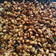 Cooksnap dari Syahira Binar untuk resep KACANG THAILAND