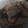 El cooksnap de UP Interiores cuando hizo Brownie vegano con porotos negros 🖤.