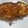 闕琪琪 的 豆乳鱈魚 cooksnap