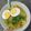 Cooksnap dari Della Chantika untuk resep Soto Ayam