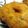 Shreya Mukherjee's cooksnap of when they made Medu vada with coconut chutney.