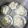 Cooksnap dari Yesha Sihn untuk resep Bakpau Ny.Liem