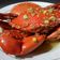 Cooksnap dari Aulia Luthfi Anna untuk resep Kepiting Rebus (Kuah Kuning)