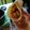 El cooksnap de Micaela Ramirez cuando hizo Tacos, burritos o rapiditas de pollo y verduras.