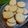 El cooksnap de Nicol Delpir cuando hizo Galletas sencillas.