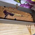 El cooksnap de Cote cuando hizo Queque de avena con pulpa de frambuesa.