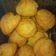 Cooksnap dari Finaisyah Ramdani untuk resep Kue Sus Isi Vla Vanilla