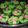 Cooksnap dari irene baria untuk resep Bolu kukus semangka🍉