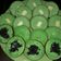 Cooksnap dari indria untuk resep Pukis lembut