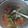 Cooksnap dari Adelya Anggraeni untuk resep Sayur sop bakso sapii praktis