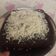 Cooksnap dari Elfiana Prawardani untuk resep Fudgy Brownies Kukus