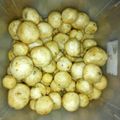 Cooksnap dari Evita Damaiyanti SY untuk resep Cimol Lencop Campernik