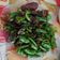 luluk 的 皮蛋炒角椒 cooksnap
