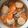 Cooksnap dari Dwi Heryani Putri untuk resep Tofu (Tahu Sutera Jepang) Kuah Saus Tiram