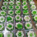 Cooksnap dari Dapoer Cemal Cemil Magetan untuk resep Kue Lapis Tepung Beras