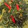 Cooksnap dari Andre Kos untuk resep Sayur Daun Singkong