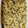 Mary Edgin Dew's cooksnap of when they made 7 Layer Cookie Bar.